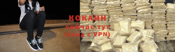 крисы Богородск