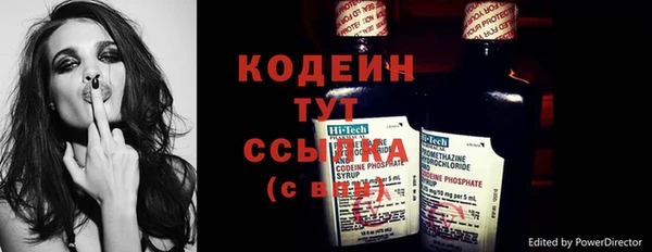 крисы Богородск