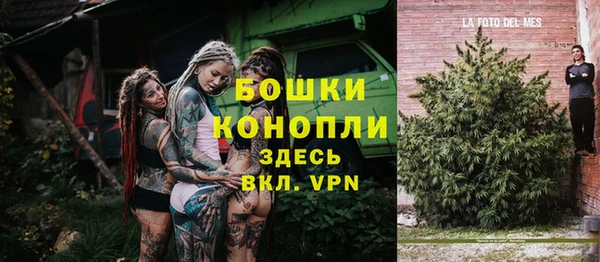 крисы Богородск