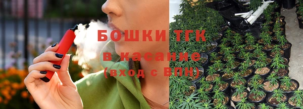 крисы Богородск