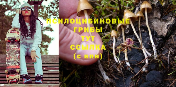 шишки Богданович