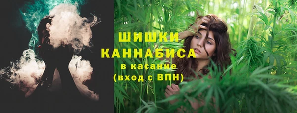 шишки Богданович
